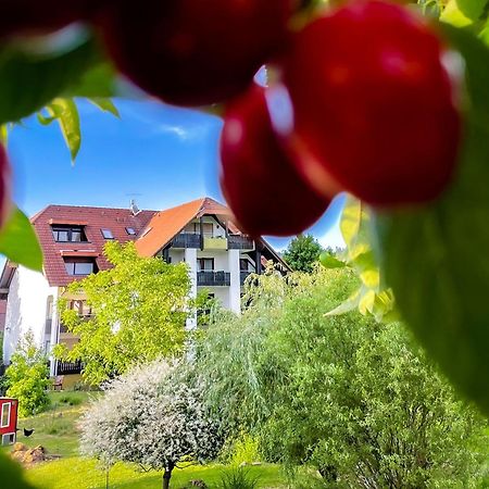 Gasthaus Hirschenstube & Gaestehaus Gehri Waldkirch Buitenkant foto