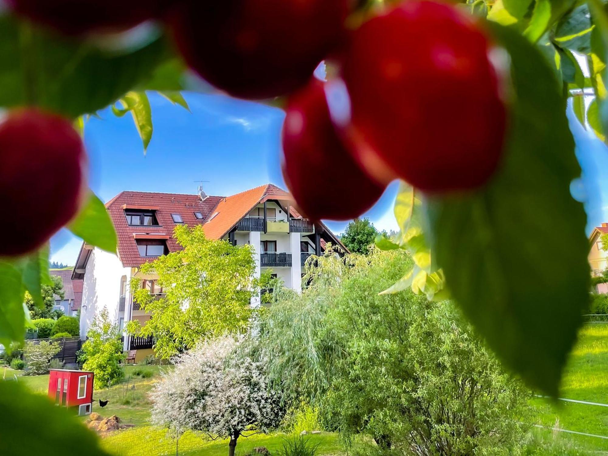 Gasthaus Hirschenstube & Gaestehaus Gehri Waldkirch Buitenkant foto
